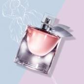 Perfumes Femininos