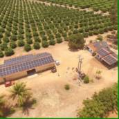 Energia solar para agronegócio