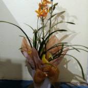 Arranjo de flor 