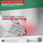 Ginecologista