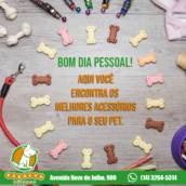Acessório Pet 