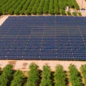 Energia Solar para Agronegócio