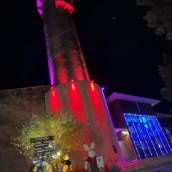 Iluminação Ambiente Canela e Gramado