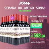 Vinho Tinto Anduco Malbec 2020 | 12 Garrafas de Vinho