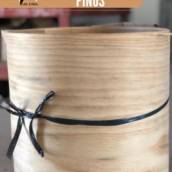 Lâminas Pinus