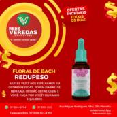 Floral de Bach Redupeso