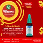 Florais de Bach para Tensão e Stress
