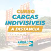 Curso Transporte Indivisíveis On-Line