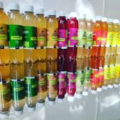 Kombucha de 300ml