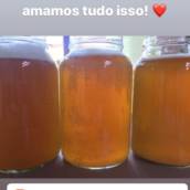 Kombucha Natural