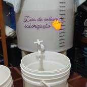 Tanque de Fermentação da Kombucha. Dia de Colheita
