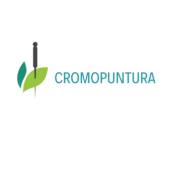 Cromopuntura 