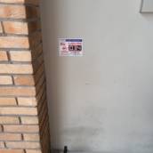 Desratização