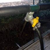 Descupinização