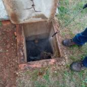 Limpeza de Caixa de Gordura