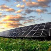 Energia Solar para Agronegócio