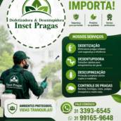 DEDETIZAÇÃO  CONTRA ARANHAS EM RIBEIRÃO DAS NEVES