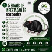 CONTROLE DE ROEDORES / DESRATIZAÇÃO EM RIBEIRÃO DAS NEVES