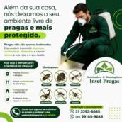 DEDETIZAÇAO EM GERAL