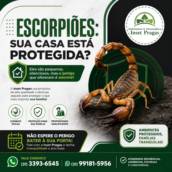 DEDETIZAÇÃO CONTRA ESCORPIÃO