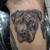Tatuagem de Cachorro