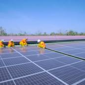Especialista em energia solar