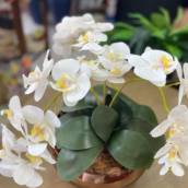 Arranjos Decorativos – Casas Oliveira Home Decor