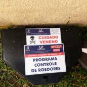 Desratização em Barueri