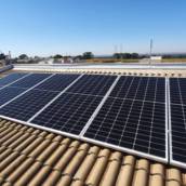 Energia Solar para Agronegócio