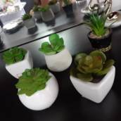 Artigos de Decoração
