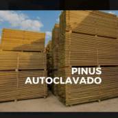 Pinus autoclavado