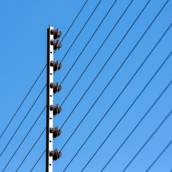 Cercas Elétricas