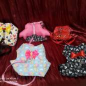 Coleira com Peitoral - Segurança e Conforto - Itanhaém/SP