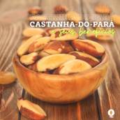 Castanha do Pará