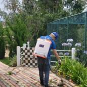 Controle De Pragas em Cotia