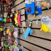 Brinquedos para Pet