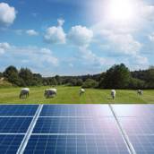 Energia solar para agricultores