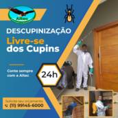 Controle de cupins em Santo André 