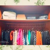 Personal Organizer para Closet