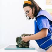 Radiologia Veterinária