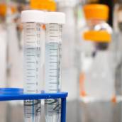 Laboratório Veterinárico
