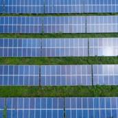 Energia Solar para Aviário