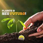 Energia Solar para Agronegócio