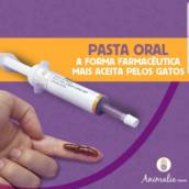 Pastas orais