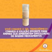 Géis trandêrmicos