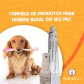 Produtos de higiene bucal para PET