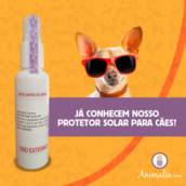 Protetor solar para cães