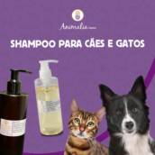 Shampoo para cães e gatos