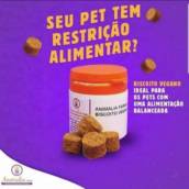Biscoitos veganos para cães e gatos