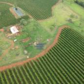 Energia Solar para Agronegócio